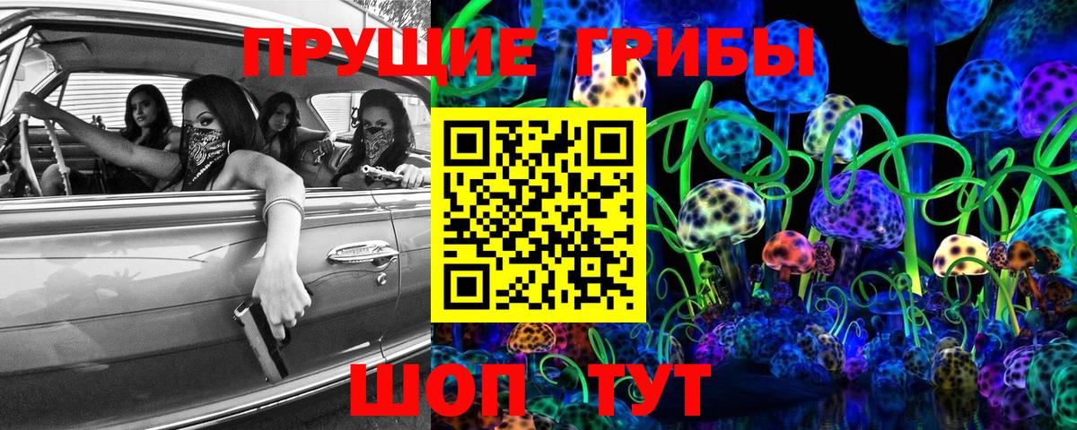 Курганинск  Галлюциногенные грибы мицелий  Псилоцибиновые грибы Cubensis  Вход с VPN 